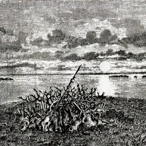 Demo 95