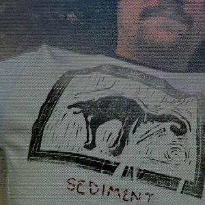SEDIMENT
