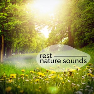 Rest: Nature Sounds