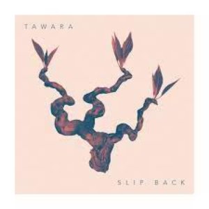 slip back