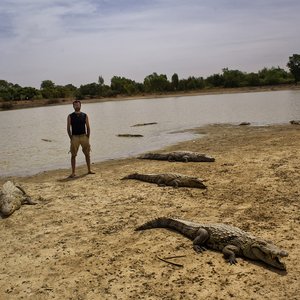 Image for 'jarguna and Friends'