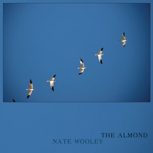 The Almond