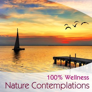 100% Wellness - Nature contemplations