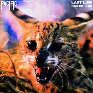 Last Life - Single