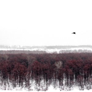 Remote Past