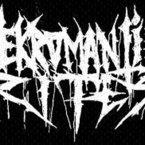Nekromantik Rites 的头像