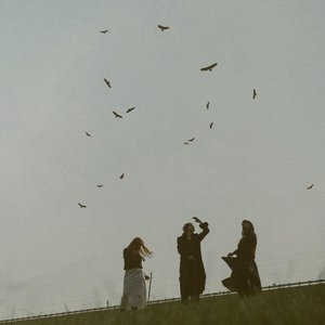 The Birds Aren't Migrating Like They're Supposed To