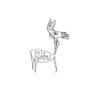 Avatar for Holy Llama