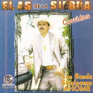 Corridos Con La Banda Sinaloense AHOME