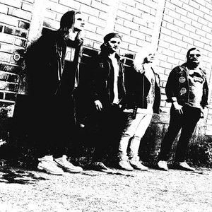 Avatar for Rattled Ace