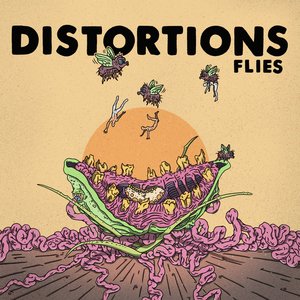 Flies