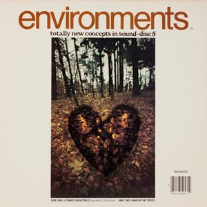 Environments 5