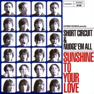 Sunshine To Your Love