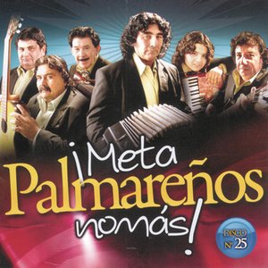 Meta Palmareños Nomás