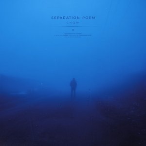 separation poem