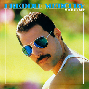 Mr. Bad Guy cover