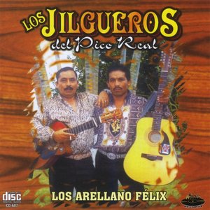 Los Arellano Félix