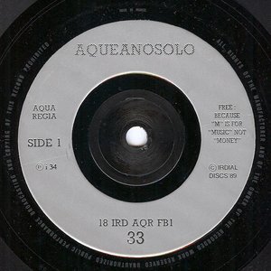 Aqueanosolo