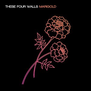 Marigold - Single