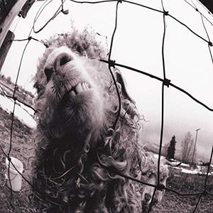 Vs. Expanded Edition (3 Bonus Tracks) [Explicit]