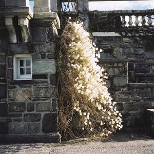 夢の中の冬、窓の外の夢