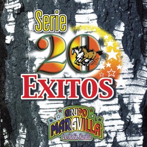 Image for 'Serie 20 Exitos'