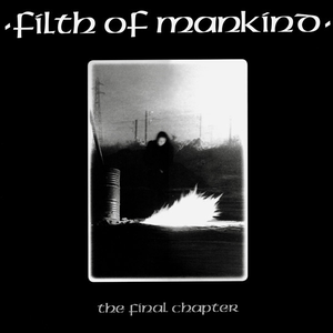 The Final Chapter cover