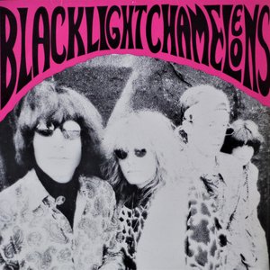 Blacklight Chameleons