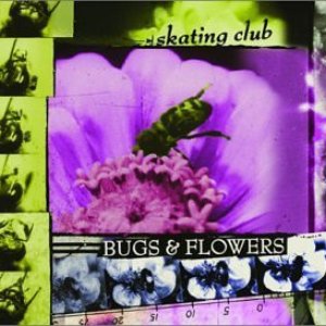 Bugs and Flowers
