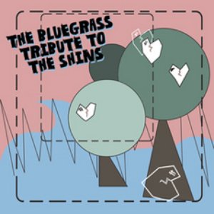 Аватар для The Shins Bluegrass Tribute