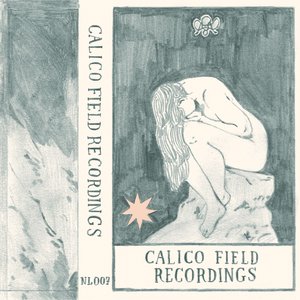 Calico Field Recordings