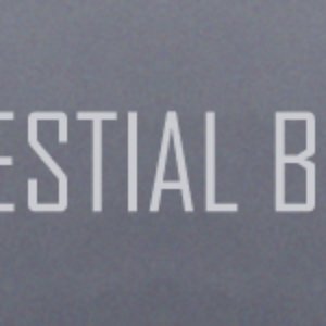 Celestial Body 的头像