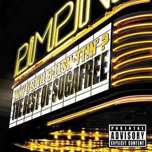 Suga Free - Why U Still Bullshittin