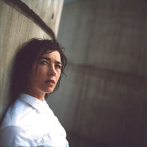 Sow photo provided by Last.fm