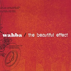 the beautiful effect