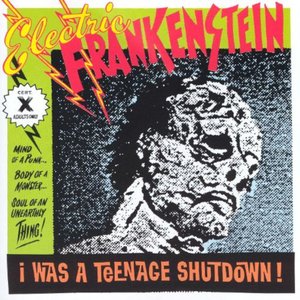 I Was A Teenage Shutdown!