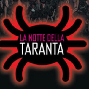 Orchestra Popolare La Notte Della Taranta 的头像