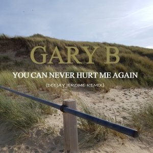 You Can Never Hurt Me Again (Deejay Jerome Remix) - Single