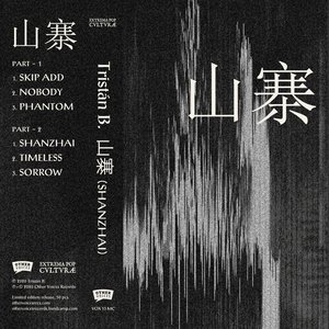 山寨 (shanzhai)