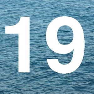 19