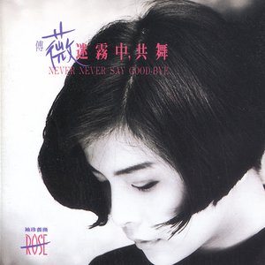 迷霧中共舞