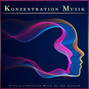 Konzentration Musik: Hintergrundstudium Musik für das Studium
