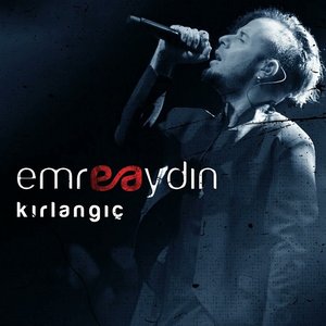 Kırlangıç