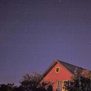 Cats Never Die - Lost My Way Lyrics - Zortam Music