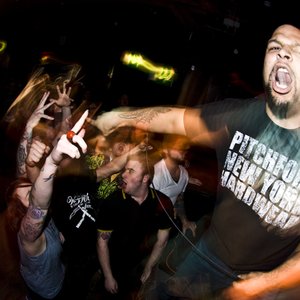 Avatar for Wisdom In Chains