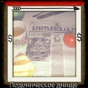 ПОДОНИЧЕСКОЕ ДНИЩЕ