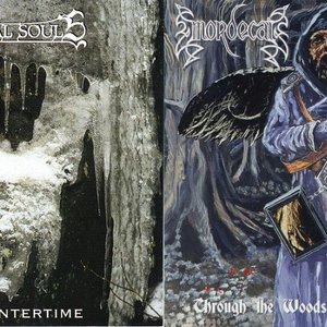 Divine Wintertime / Through the Woods, Towards the Dawn