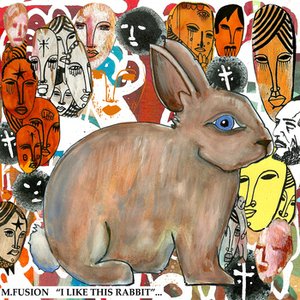 I Like This Rabbit
