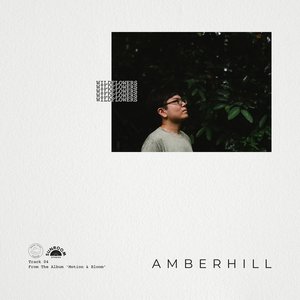 Wildflowers - Single