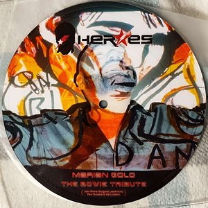 The Bowie Tribute
